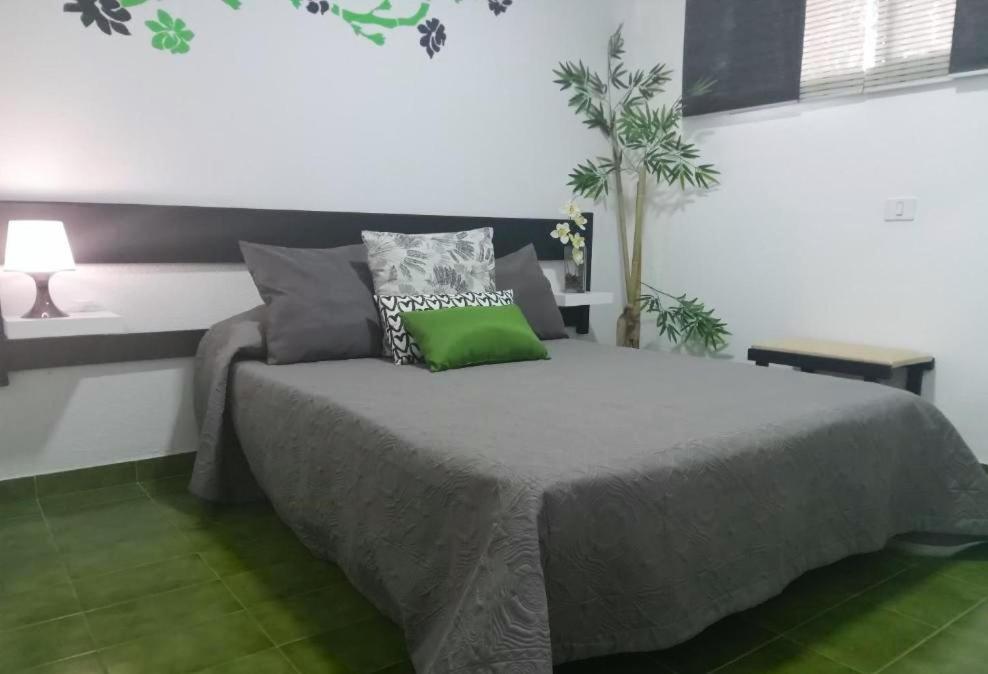 Surycan Tropical Garden Apartment Playa del Inglés Zewnętrze zdjęcie